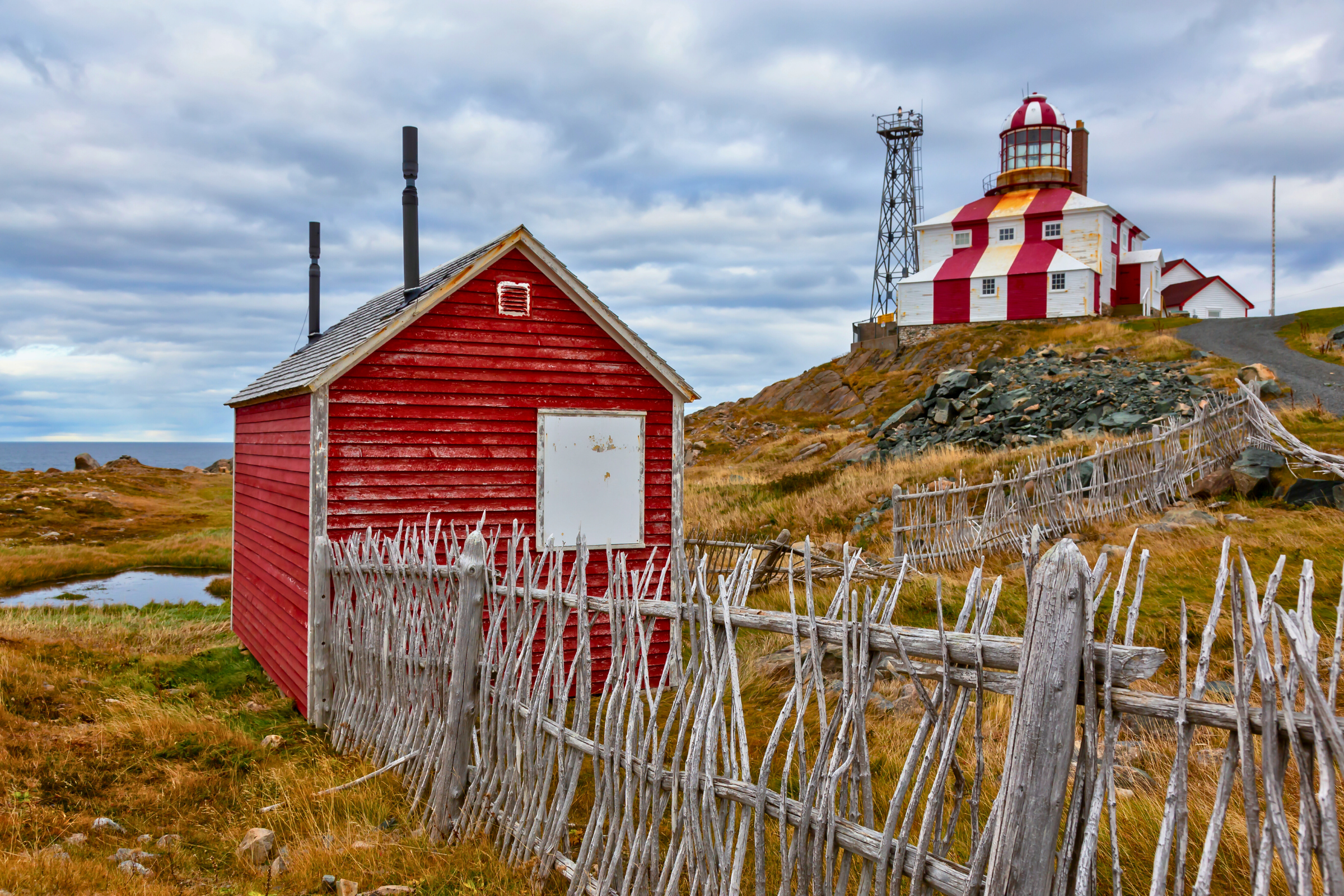 eastern newfoundland, newfoundland and labrador (4).webp